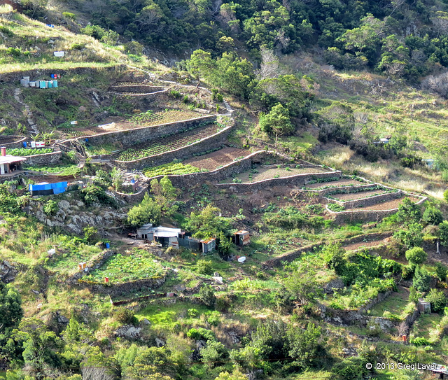 Terracing for crops