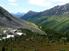 View from Ptarmigan Cirque Trail