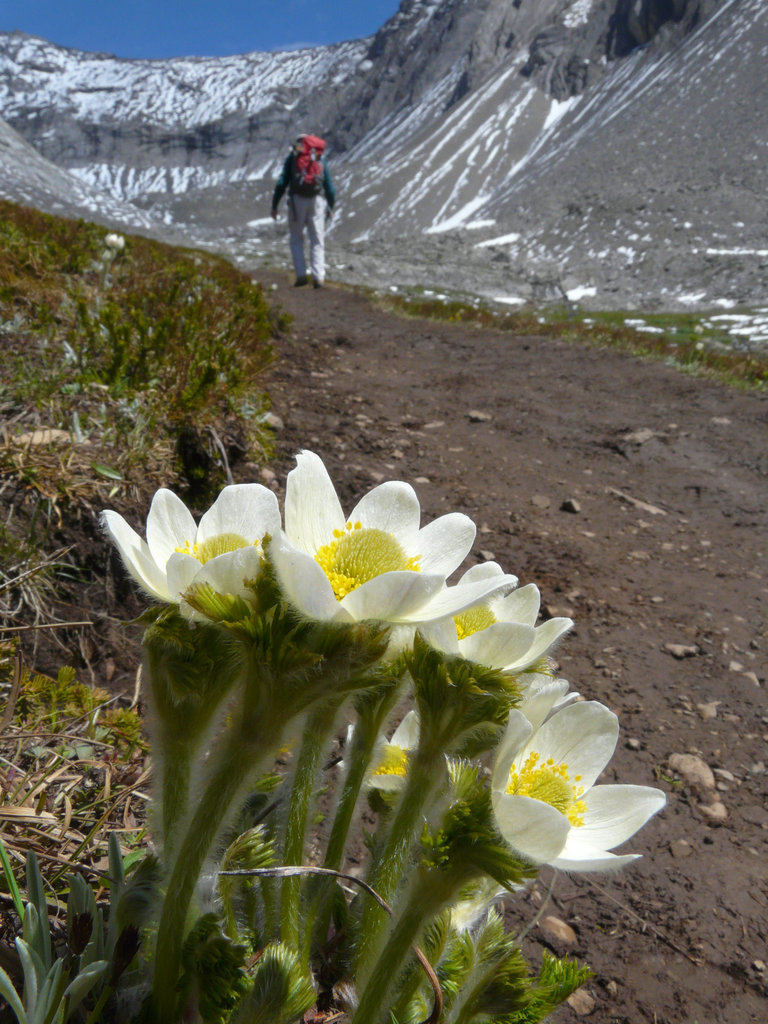 Alpine paradise