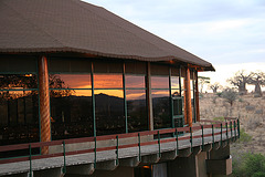 Reflections of an African sunset