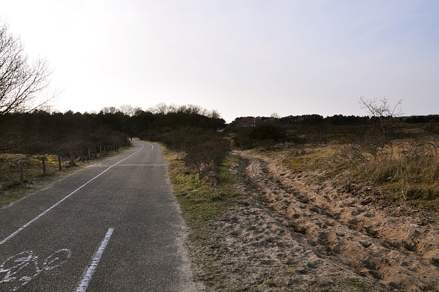 Paths in the dunes for horse and iron horse