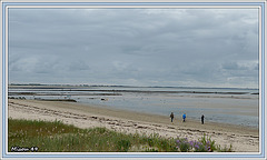 NOIRMOUTIER