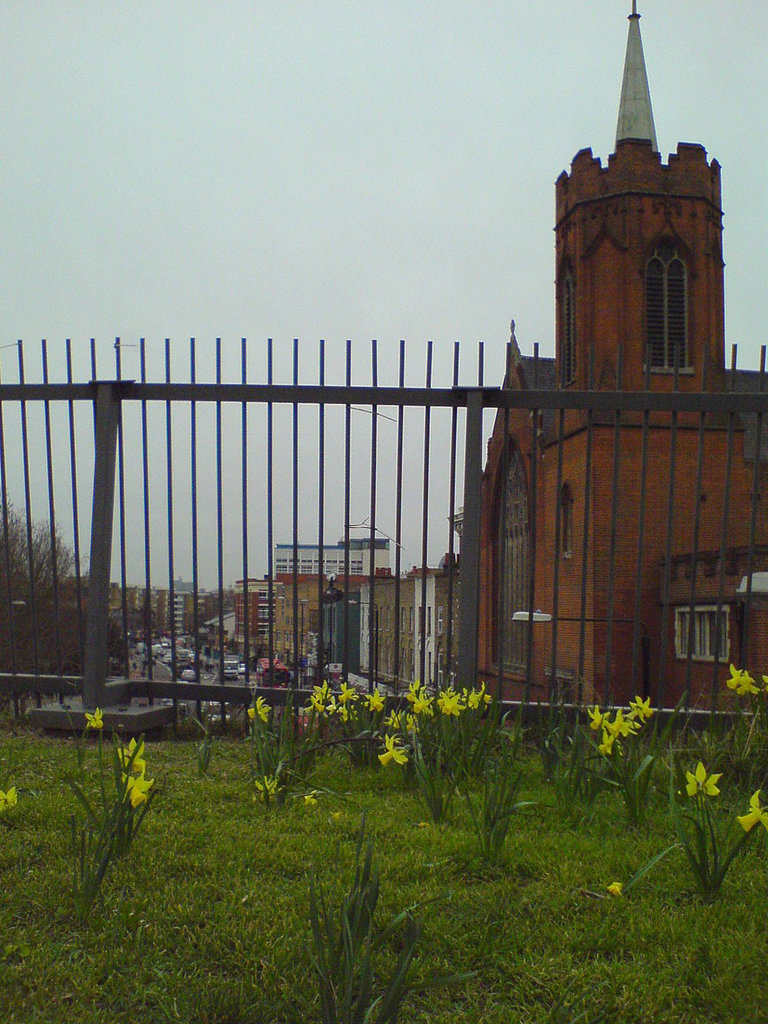 Daffs on the Green Bridge