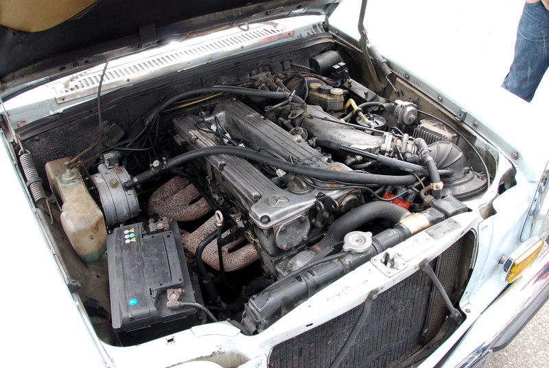 DSC_7724.JPG