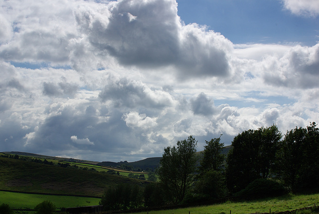 Moorfield Views and wildlife