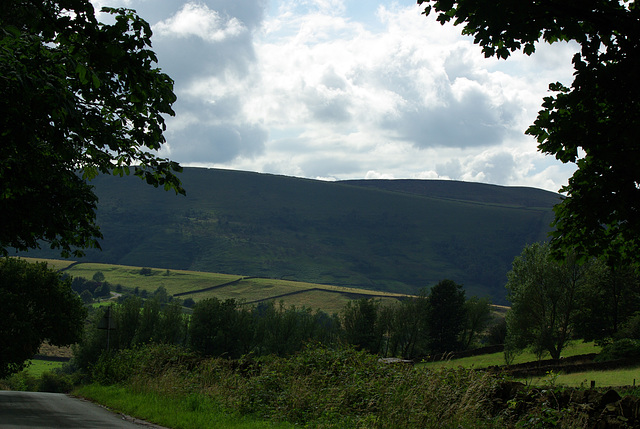 Moorfield Views and wildlife