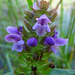 Selfheal