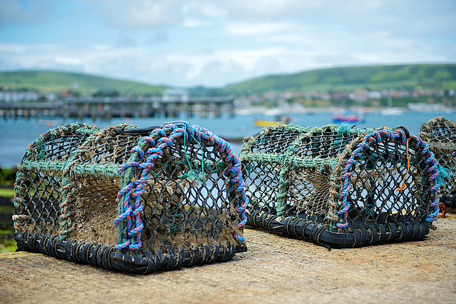 Lobster Pots