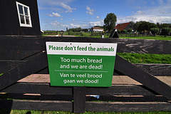 Zaanse Schans – Too much bread and we are dead!