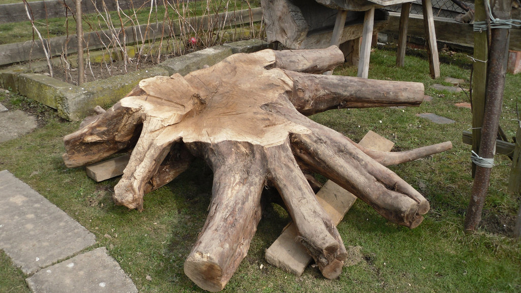 Sitzgruppe Walnussbaum