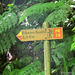 Levada signpost