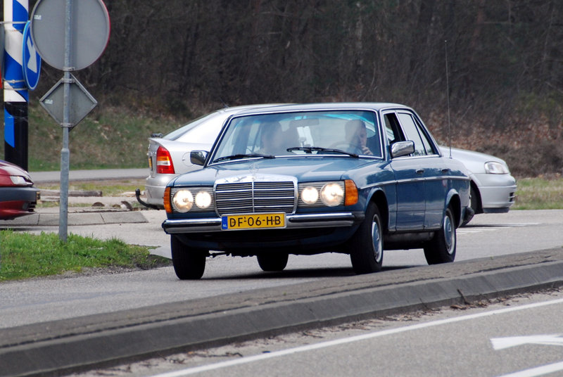 DSC_7875.JPG