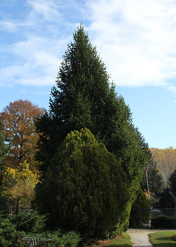 IMG 4592