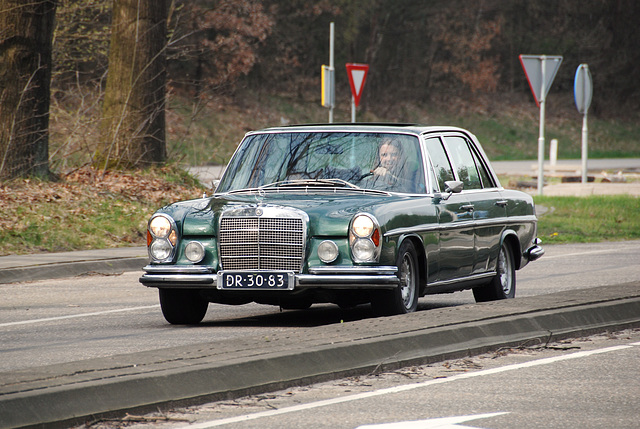 DSC_7897.JPG