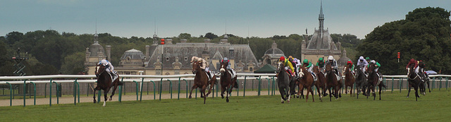 Prix du Jockey club 2013