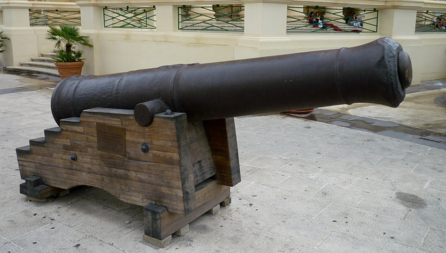 Cannon