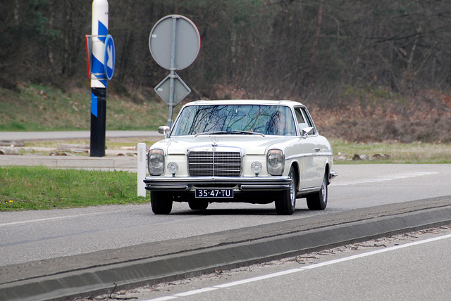 DSC_7856.JPG