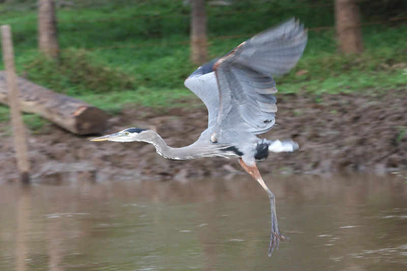 Taking off (Explored)