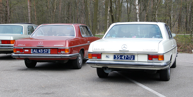 DSC_7836.JPG