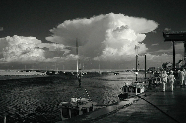 Wells Harbour