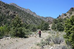IMG_5375