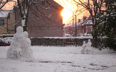 The Snow Family