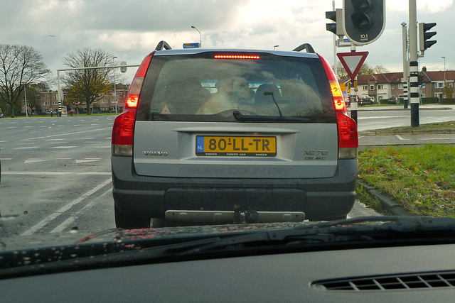 2003 Volvo V70 D5 Cross Country & Dog