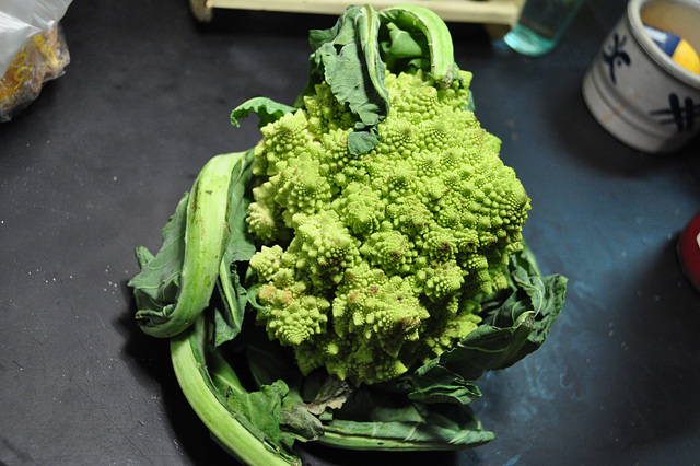 Strange cauliflower