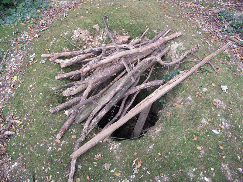 Elephant trap 2