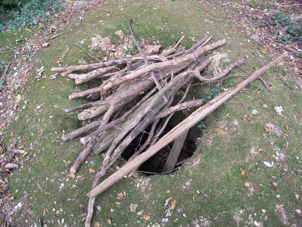 Elephant trap 2