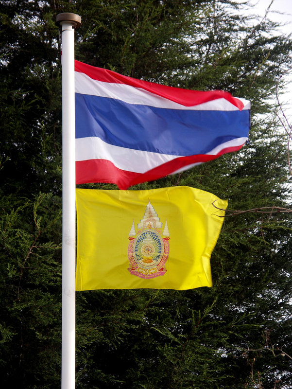 Thai flags