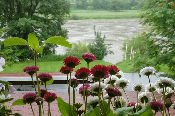 Regenwetter am 1. Juni 2013