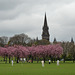 Cricket players at the meadows Edinburgh