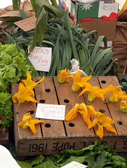 Courgette flowers