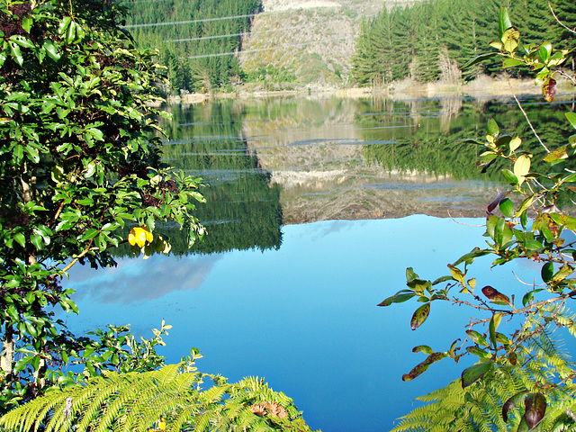 Lake Maraetai reflections