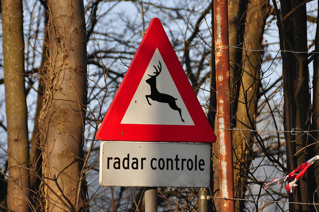 Radar-controlled deer