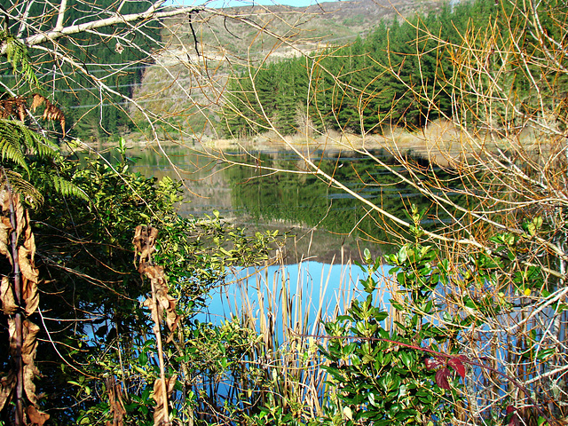 Lake Maraetai 2