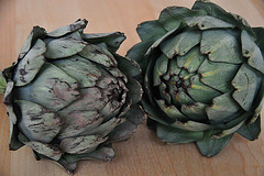 Artichoke