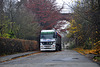 Mercedes-Benz Actros truck and the railway bridge