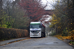 Mercedes-Benz Actros truck and the railway bridge
