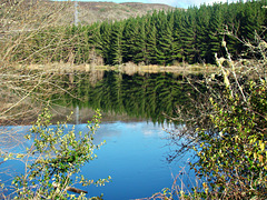 Reflections in Lake Maraetai 2