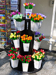 Keukenhof 2012 – Wooden tulips