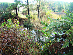 At Lake Maraetai 2