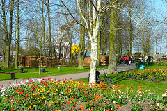 Keukenhof 2012 – Flowers, bicycle and windmill