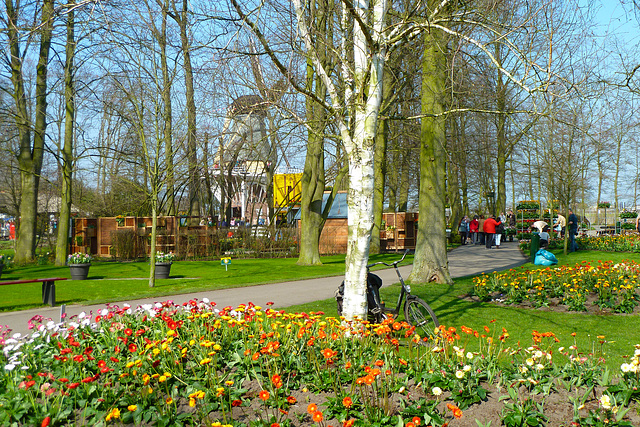 Keukenhof 2012 – Flowers, bicycle and windmill