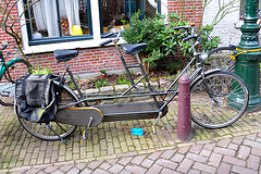 Gazelle tandem bicycle