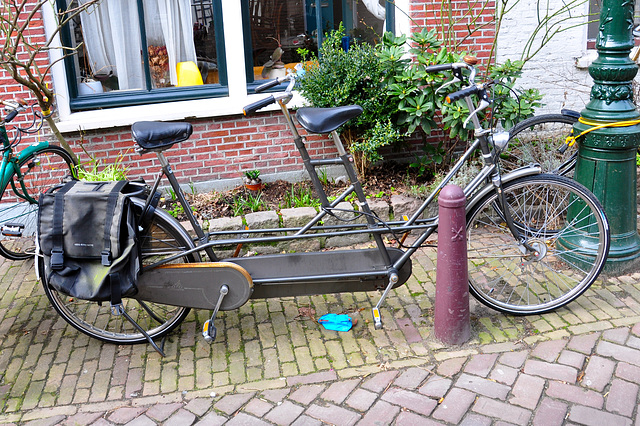 Gazelle tandem bicycle