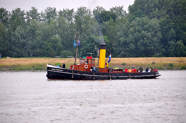 Dordt in Stoom 2012 – Steam tug Scheelenkuhlen