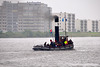 Dordt in Stoom 2012 – Steam tug Adelaar