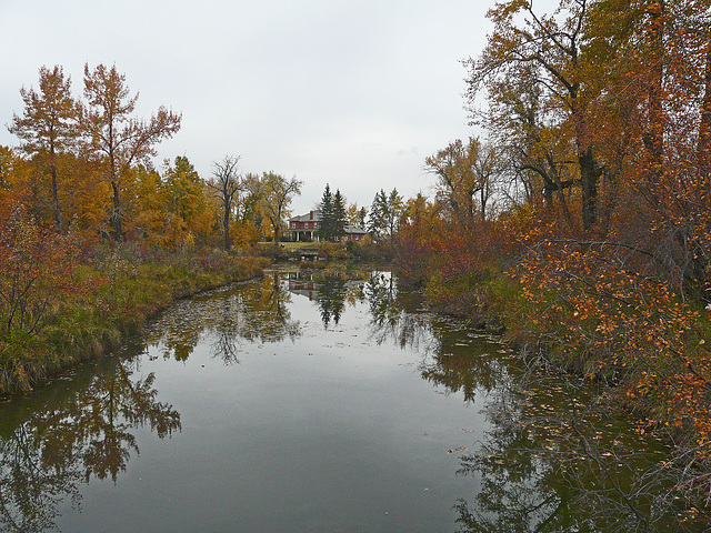 Inglewood Bird Sanctuary